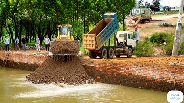 Nice Video A New Complete Project! 5 Ton Dump Unloading Soil & Bulldozer Pushing