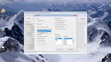 VB Decompiler P-Code VB6 File Decompilation