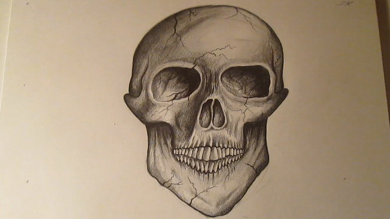 Cómo dibujar una calavera realista a lápiz paso a paso, dibujos de calaveras  - How to Draw a Skull - thptnganamst.edu.vn