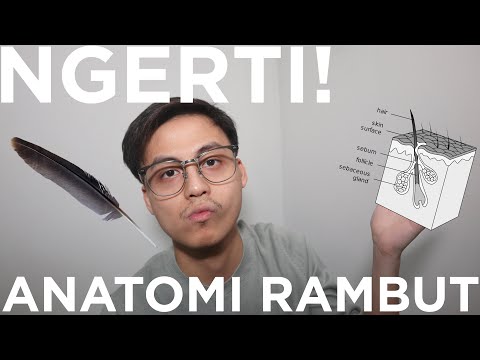 Video: Cara Meluruskan Rambut Dengan Kelantangan (dengan Gambar)