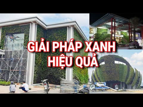 Video: Những Lợi ích Của Liệu Pháp Vườn