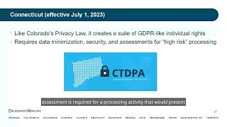 "Data Privacy Update - 2023's New State Laws & Related Developments" with Ashley Fernandez - Part 4