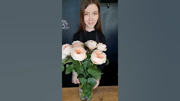 Как продлить жизнь розам🌹