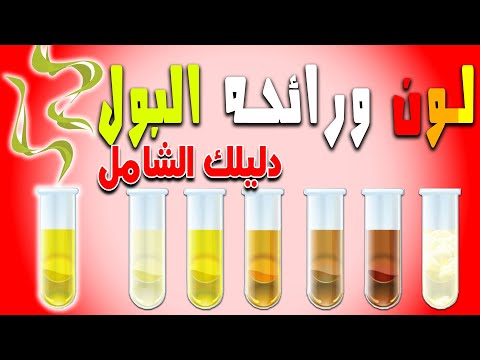 اكتشف جسمك من لون ورائحه البول | التهاب الكبد مسالك أو حصى الكلى او السكري