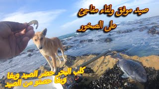 حتى الكلب بغا يشارك في الصيد وبغا حصتو من السمكة شوفو شنو وقع
