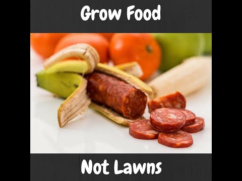 Grow Food Not Lawns and Start an Urban Garden Today