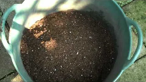 Growing Herbs for Beginners- Mod.2 - Preparing Potting Mix