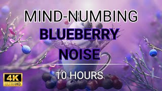 Mind-numbing Blueberry Noise | 10 Hours | BLACK SCREEN | Study, Sleep, Tinnitus Relief and Focus