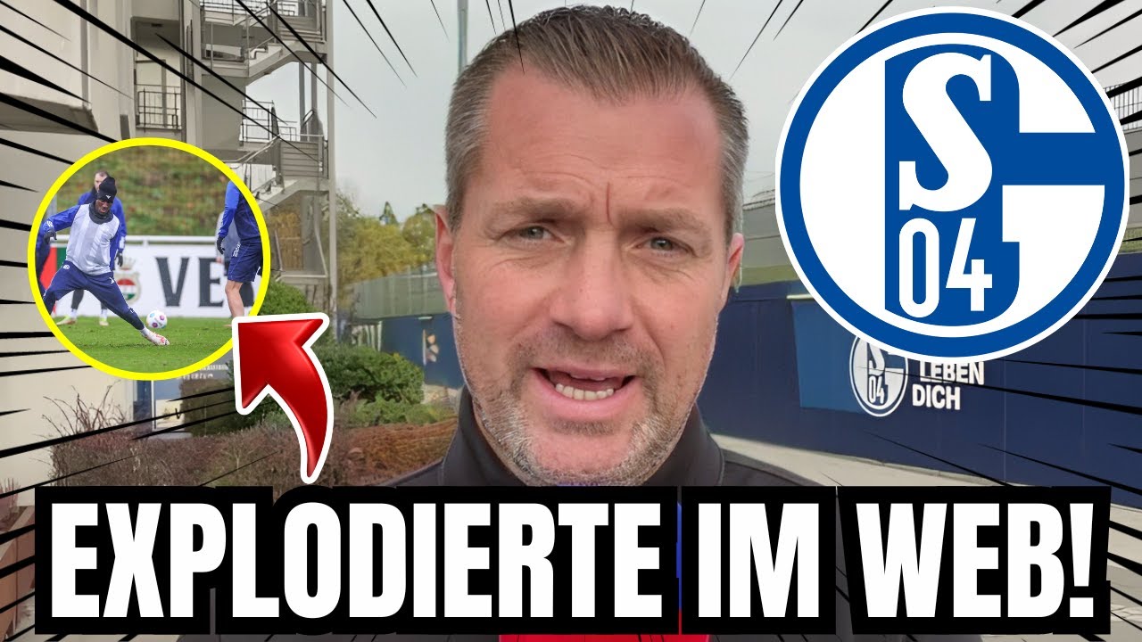 FC Schalke 04 - FC Hansa Rostock Highlights 2. Bundesliga, 33. Spieltag | Sportschau Fußball