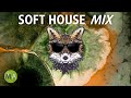Peak Focus Soft House Study Music With Beta Isochronic Tones Fox Mix
