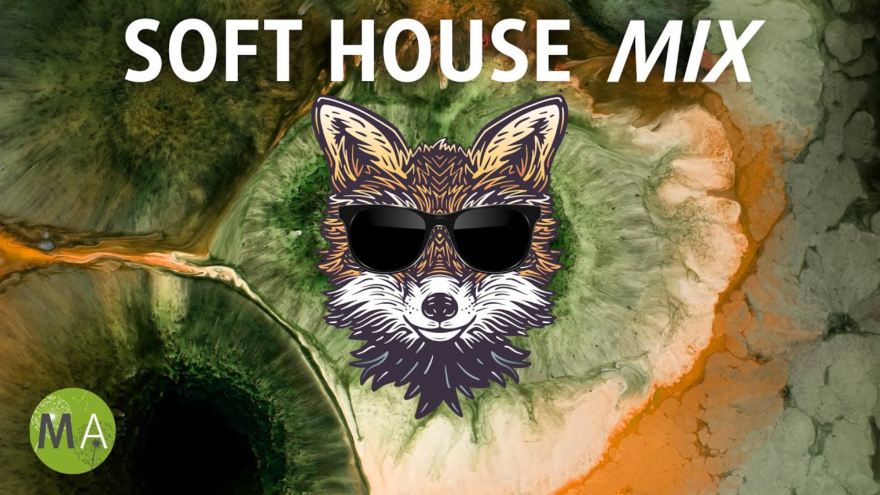 Peak Focus Soft House Study Music with Beta Isochronic Tones - Fox Mix Peak Focus Soft House Study Music with Beta Isochronic Tones - Fox Mix