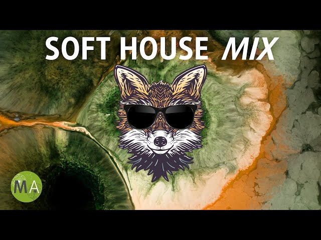 Peak Focus Soft House Study Music with Beta Isochronic Tones - Fox Mix class=