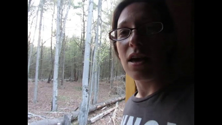 Too hot in the yurt - how Seasons effect the yurt