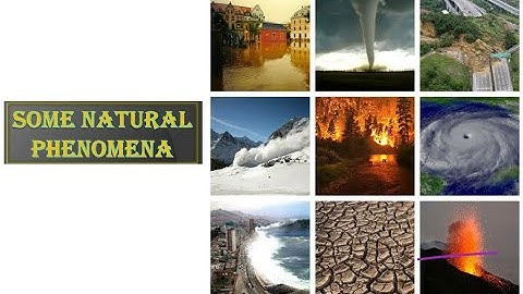 ClassVIII Science 19 08 2020 by Ms Mridulata Upadhyay