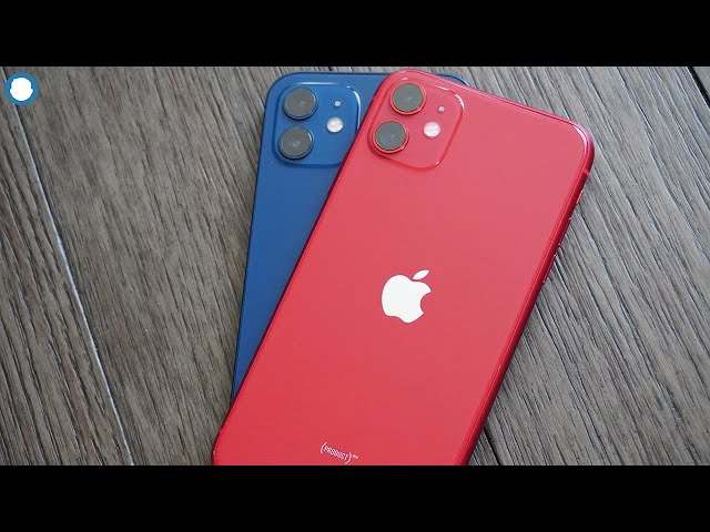 iPhone 11 vs iPhone 12 ¿Cual comprar en 2023? - Tecno Ideas