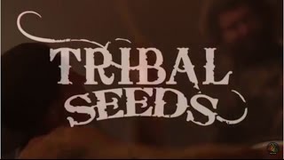 Tribal Seeds Joins Sublime & Dirty Heads On Tour (Summer 2016)