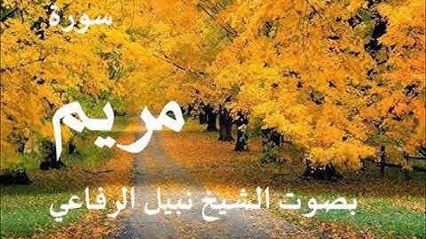 019  سورة مريم بصوت الشيخ نبيل الرفاعي