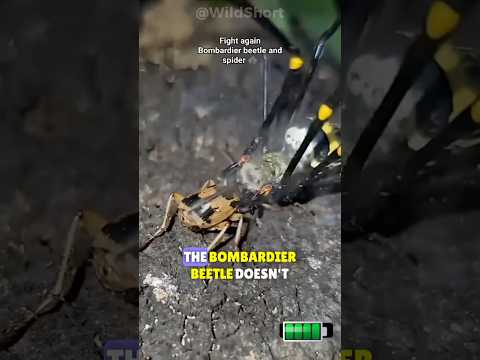 It Shoots 200-Degree