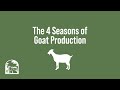 The 4 Seasons Of Goat Production The 4 Seasons Of Goat Production