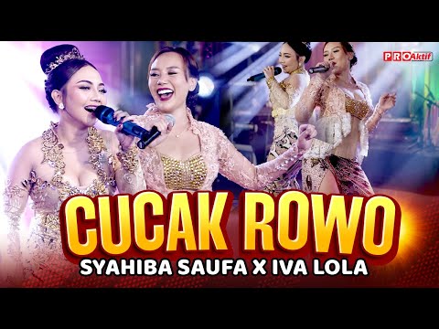 Syahiba Saufa X Iva Lola - Cucak Rowo (Official Music Video) | Live Version