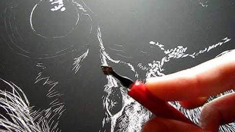 Owl Scratchboard Art Video 1