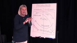 Pyscholudics The Play Cycle