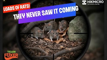 Clinical Rat Control With The HIKMICRO Alpex 4k LRF