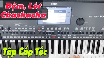 Tập Đệm Hát Một Bài Chachacha Hoàn Chỉnh | Mẹo Đệm Hát | #97