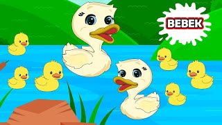 Lagu Anak Anak - Bebek | Lagu Anak Indonesia Balita - Lagu Anak Populer