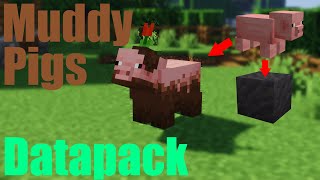 Muddy Pigs! | Minecraft Datapack