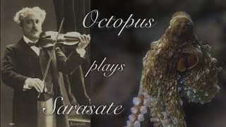 Octopus plays Sarasate