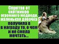 Спрятав от охотников огромного медведя маленькая девочка получила в награду то, о чём и не мечтала