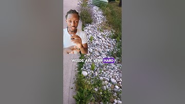 Get rid of that weed in your Rock garden #diylandscaping