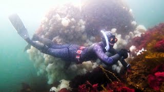 Freediving Dodd Narrows | @WildWaterWomanLisa | Vancouver Island, British Columbia