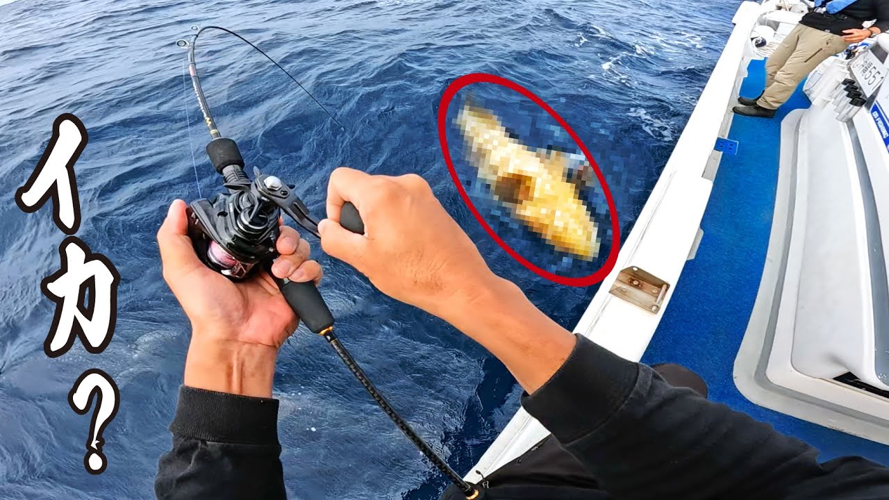 イカ釣りしてたら別の大物が連発した