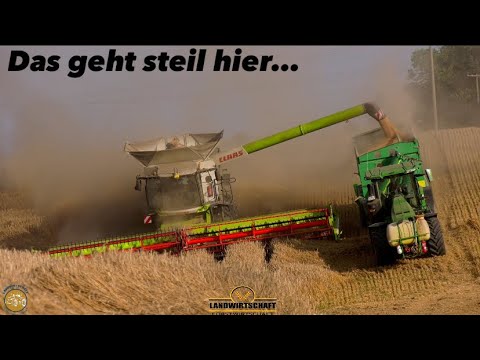 Rapsernte 2023 - 3 Mähdrescher, Traktor \u0026 LKW Landwirtschaft Gut Hohen Luckow German farming harvest