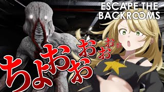 【ゆっくり実況】魔理沙さんがBackroomsで蹂躙される【Escape The Backrooms】【ホラー実況】