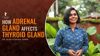 How Adrenal Gland Affects Thyroid Gland | Dr Alka Vijayan