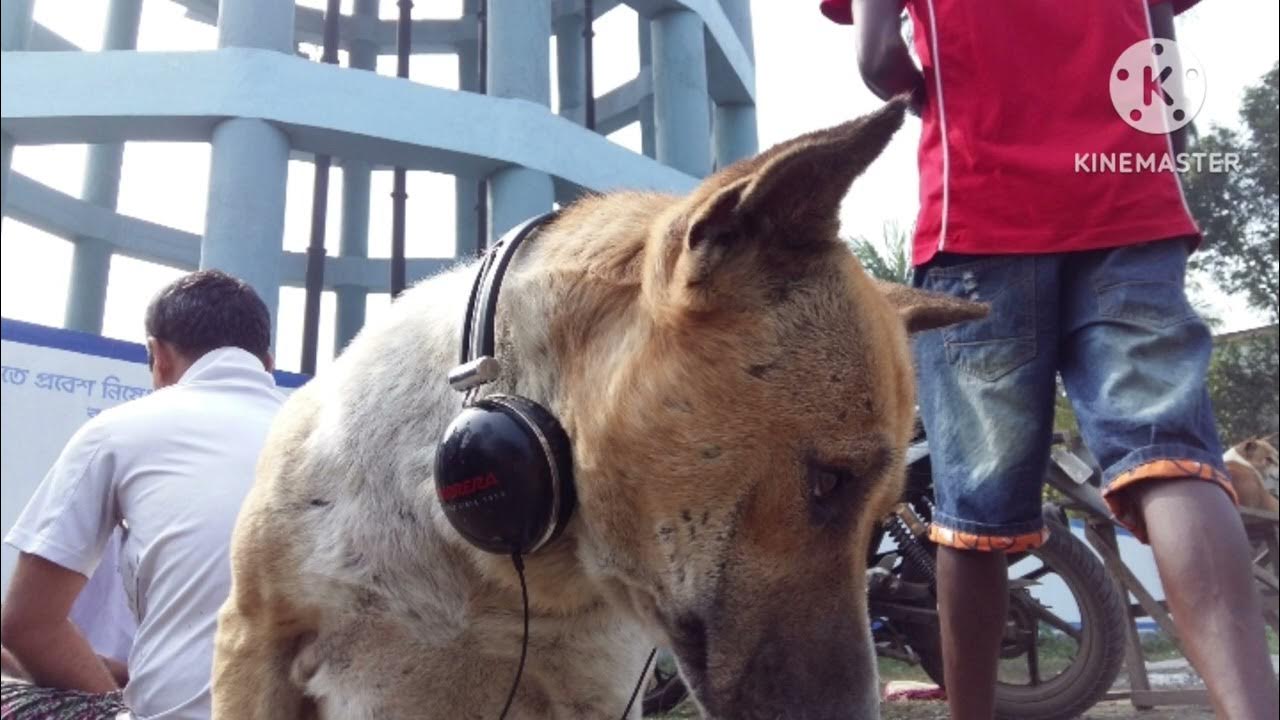 tere hawale cover song mp3 download with female song YouTube