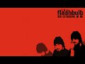 Capture de la vidéo The Flashbulb - Red Extensions Of Me (2004)