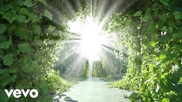 The Goldilocks Enigma - Ponder Flying