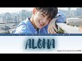 Cha Eunwoo 차은우 ASTRO Aloha 아로하 Cover Song From COOL Lirik Terjemahan Han Rom SubIndo Cha Eunwoo 차은우 ASTRO Aloha 아로하 Cover Song From COOL Lirik Terjemahan Han Rom SubIndo