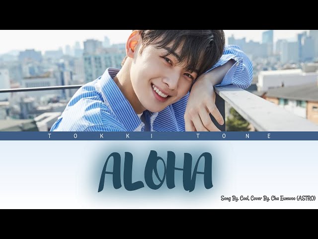Cha Eunwoo (차은우) ASTRO - Aloha (아로하) Cover Song From COOL, Lirik Terjemahan [Han/Rom/SubIndo] class=