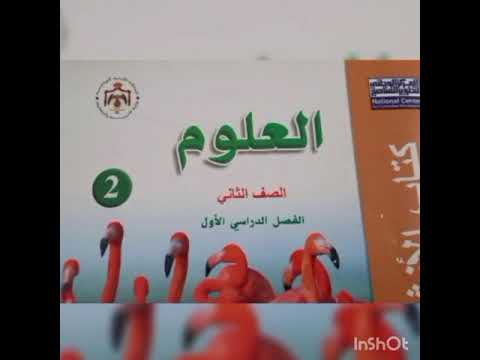 علوم حل كتاب الأنشطة والتمارين ص13 الصف الثاني
