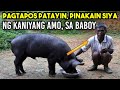 Grabe si nanay ipinakain niya sa kaniyang mga baboy ang kaniyang mga tauhan