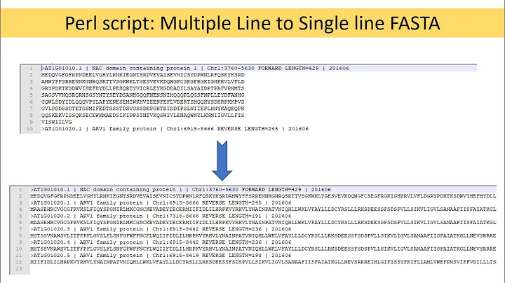 Batch convert Fasta sequence to single line