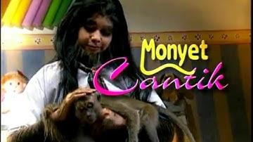 Download Terlalu Sayang Ost Monyet Cantik Mp3 Free And Mp4