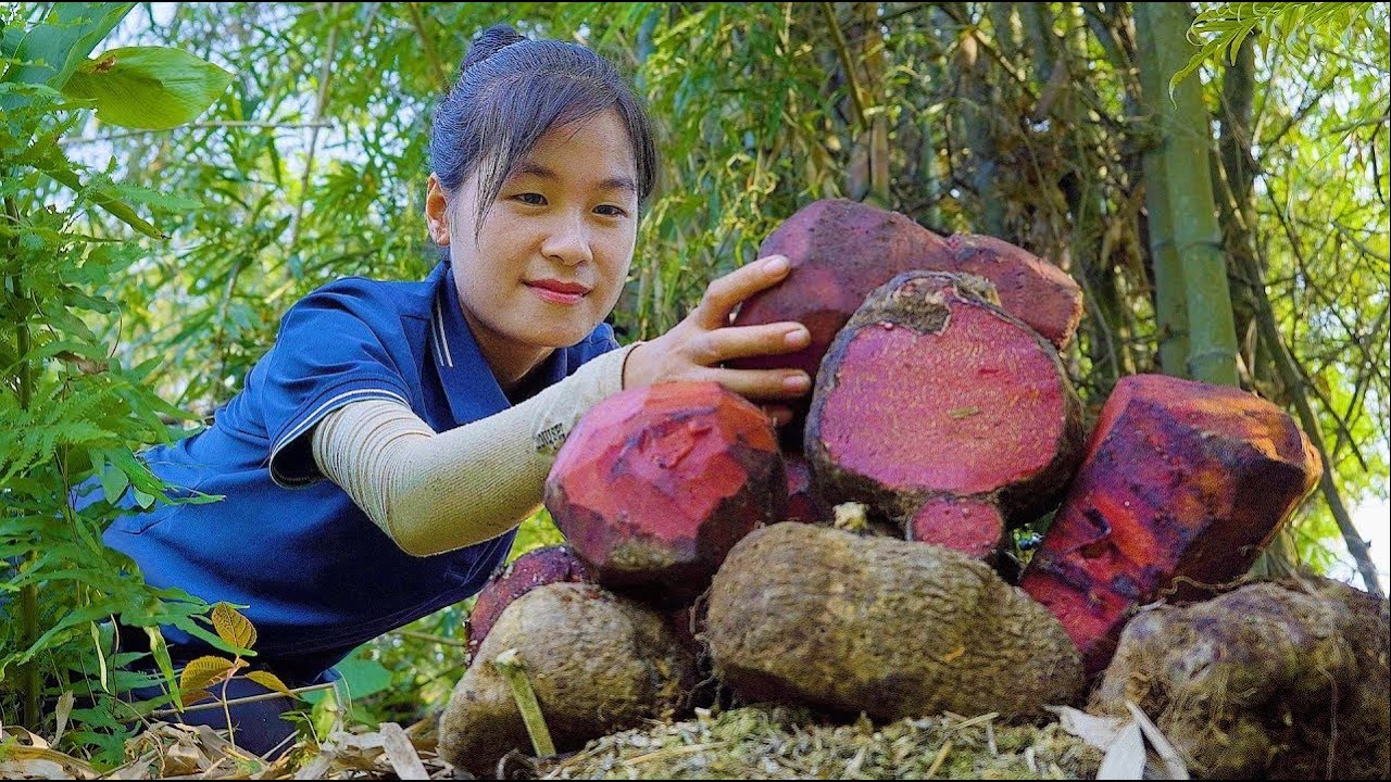 100 Days Harvest Bamboo Shoots, Tuber Sold at Market | Harvesting & Cooking | Susan Daily Life