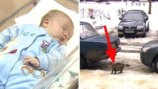 Baby Is Abandoned And Left To Freeze To Death – But Now Watch What This Cat Does