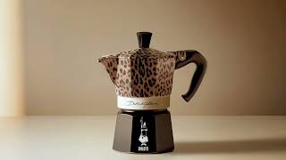 Dolce & Gabbana | Leopardo